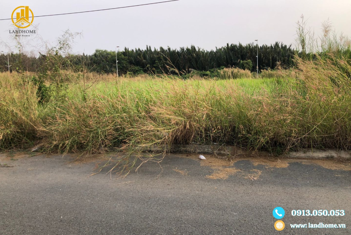 đất thái sơn 1 nhà bè