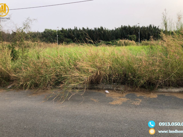 đất thái sơn 1 nhà bè