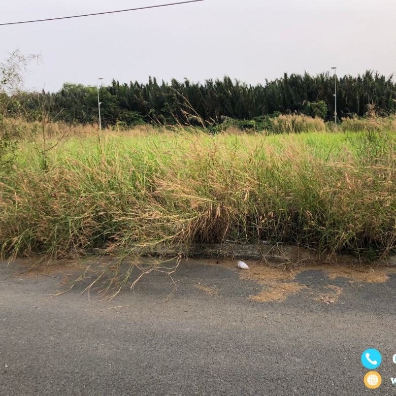 đất thái sơn 1 nhà bè