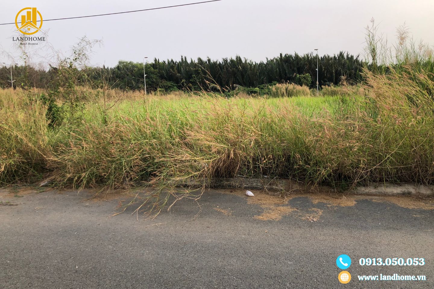 đất thái sơn 1 nhà bè