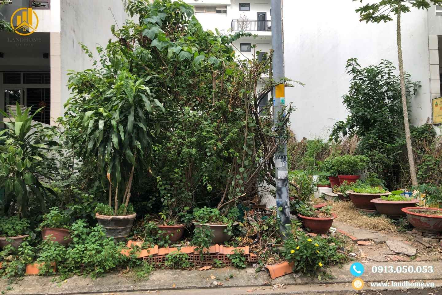 dat nen tan quy dong quan 7